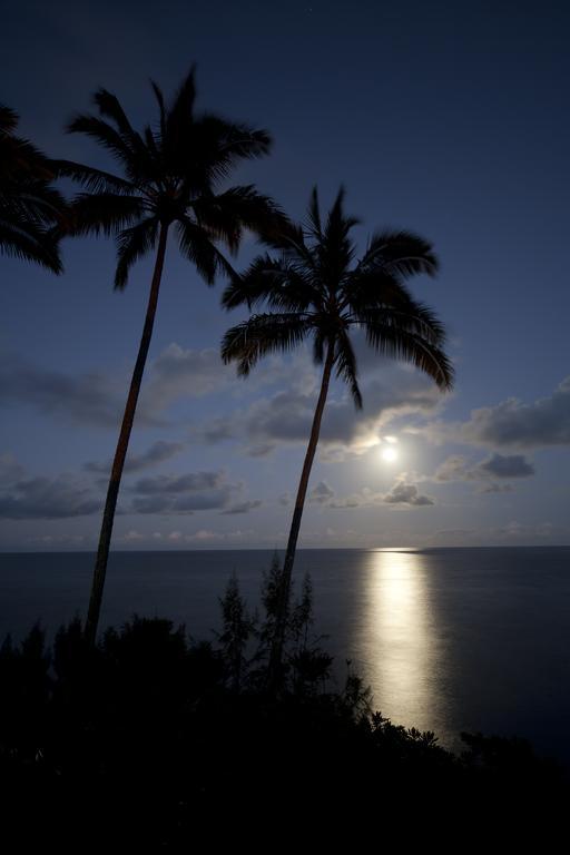 Hale Kai Hawaii Bed & Breakfast ฮิโล ภายนอก รูปภาพ