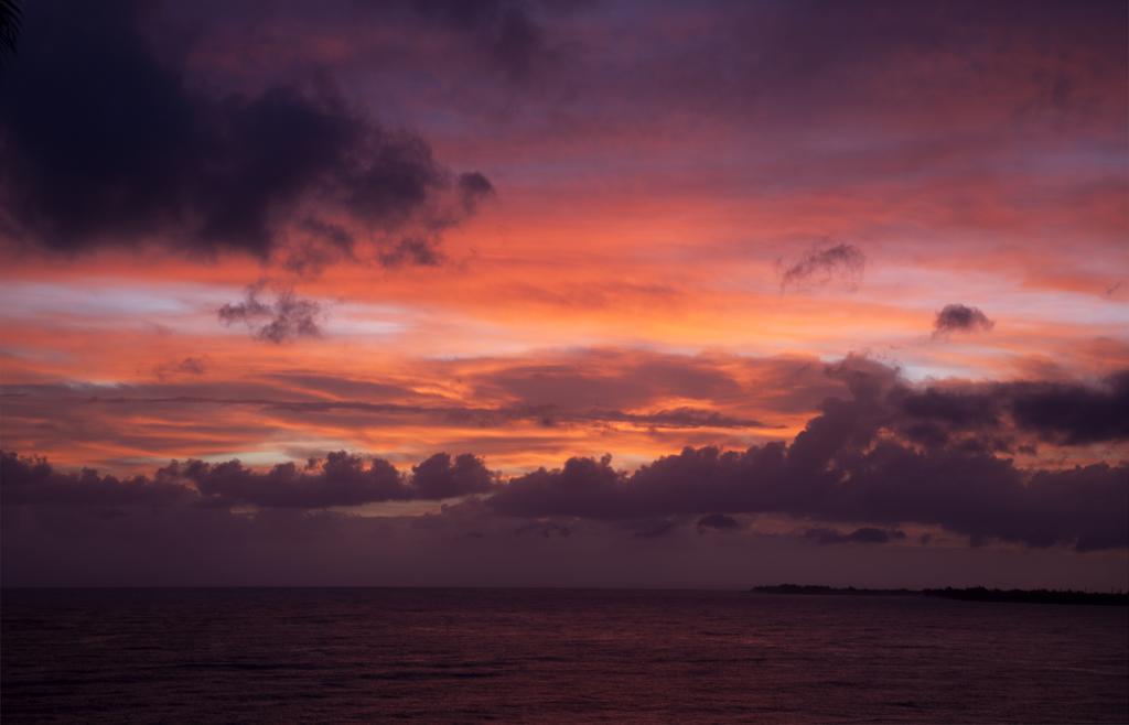 Hale Kai Hawaii Bed & Breakfast ฮิโล ภายนอก รูปภาพ